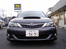 このコがウチに来る予定♪