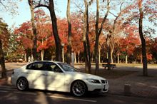 紅葉を探して・・・