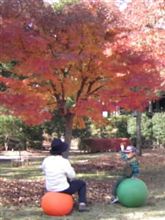 紅葉の木のしたで