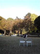 庭園2