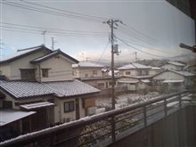 マジですか・・
