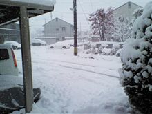 朝から大雪です!