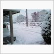 朝から大雪です!