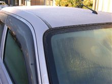 今朝は朝露ではなく・・