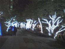 今年ももうこの季節