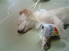 見られた！