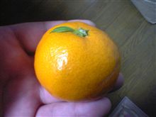 なんか・・・