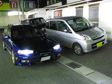 代打・ステラ。