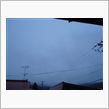１１月２１日　ちょっとゆっく ...
