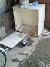 犬小屋を破壊されました