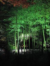 秋の京都