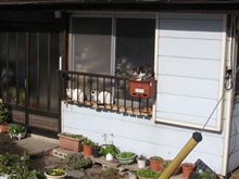 陰と陽