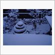 １１月２２日　ゆ～きやこんこ ...