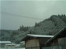 12日朝の風景。