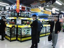 でっかいカメラ屋に。