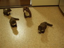 そわそわ