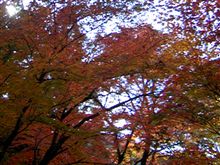 朝からドライブ(室生寺)(^^)