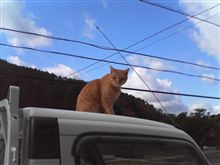 今日はのんびり～