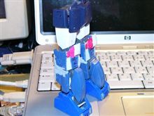 膝の形、真似てみました。