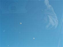 今日はオフ２連発