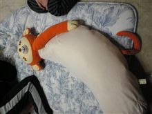 本日の相棒(^人^)