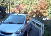 ドライブラリーで紅葉見物