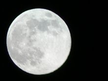 14夜(･ω｀･?ﾊﾃﾅ?