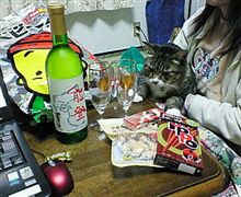 今からのむどぉ～(笑