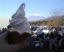 天気がイイので