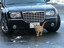 山形県高畠・猫の宮