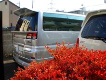 　エルと自宅紅葉