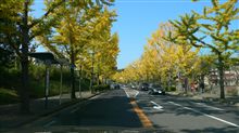 千里の紅葉