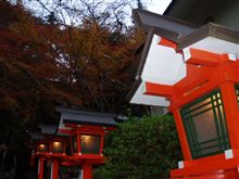 紅葉を見てきました