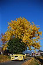 ツーリング？紅葉撮影？