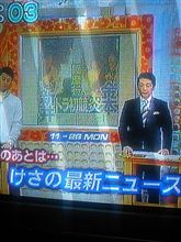 おはようございます！！