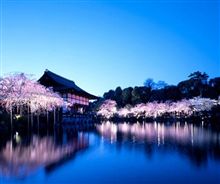 コンサート(*ﾟ∀ﾟ*)♪