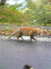 フォルダ漁ってたら出てきた…