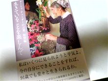 やけに風が強い朝です