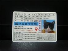 身分証明証