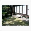 白い猫････その後・・・・・