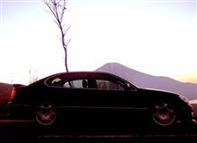 ＴＭＳＦのお土産
