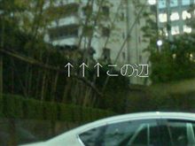 今日のY田洋行さん