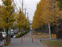秋を飛び越え 秋を飛び越え