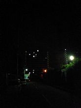 寝すぎだ