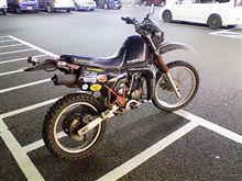 頂戴してきた…。