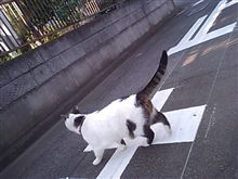 実験