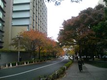 大学の構内