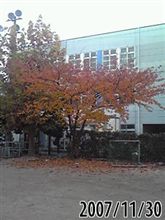 紅葉も今週までかな？