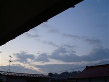 １２月１日　１２月がスタート、おはでつ～♪