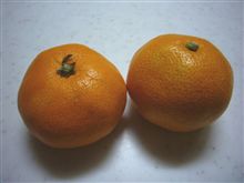 明日の予定が・・・